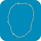 Seashell Shell Bobo Necklace Vacation Jewelry Casual Small Shells Unisex 36"